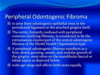 Peripheral Odontogenic Fibroma
 to arise from odontogenic epithelial rests in the
periodontal ligament or the attached gingiva itself.
 The entity, formerly confused with peripheral
cemento-ossifying fibroma, is considered to be the
extraosseous counterpart of the central odontogenic
fibroma of the World Health Organization type.
 A peripheral odontogenic fibroma manifests as a
firm, slowly growing, sessile, and nodular growth of
the gingiva, most often on the mandibular buccal or
labial aspect as depicted below.
 wide age range and affects both sexes equally.
 