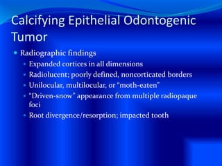 Calcifying Epithelial Odontogenic
Tumor
 Radiographic findings
 Expanded cortices in all dimensions
 Radiolucent; poorly defined, noncorticated borders
 Unilocular, multilocular, or “moth-eaten”
 “Driven-snow” appearance from multiple radiopaque
foci
 Root divergence/resorption; impacted tooth
 