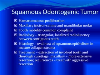 Squamous Odontogenic Tumor
 Hamartomatous proliferation
 Maxillary incisor-canine and mandibular molar
 Tooth mobility common complaint
 Radiology – triangular, localized radiolucency
between contiguous teeth
 Histology – oval nest of squamous epithelium in
mature collagen stroma
 Treatment – extraction of involved tooth and
thorough curettage; maxillary – more extensive
resection; recurrences – treat with aggressive
resection
 