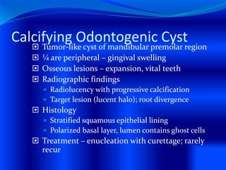 Calcifying Odontogenic Cyst Tumor-like cyst of mandibular premolar region
 ¼ are peripheral – gingival swelling
 Osseous lesions – expansion, vital teeth
 Radiographic findings
 Radiolucency with progressive calcification
 Target lesion (lucent halo); root divergence
 Histology
 Stratified squamous epithelial lining
 Polarized basal layer, lumen contains ghost cells
 Treatment – enucleation with curettage; rarely
recur
 