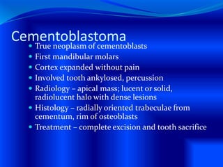 Cementoblastoma True neoplasm of cementoblasts
 First mandibular molars
 Cortex expanded without pain
 Involved tooth ankylosed, percussion
 Radiology – apical mass; lucent or solid,
radiolucent halo with dense lesions
 Histology – radially oriented trabeculae from
cementum, rim of osteoblasts
 Treatment – complete excision and tooth sacrifice
 
