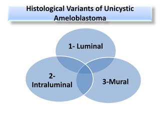 Histological Variants of Unicystic
        Ameloblastoma


             1- Luminal


       2-
 Intraluminal           3-Mural
 