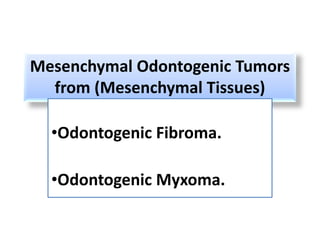 Mesenchymal Odontogenic Tumors
  from (Mesenchymal Tissues)

  •Odontogenic Fibroma.

  •Odontogenic Myxoma.
 