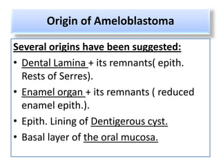 Origin of Ameloblastoma

Several origins have been suggested:
• Dental Lamina + its remnants( epith.
  Rests of Serres).
• Enamel organ + its remnants ( reduced
  enamel epith.).
• Epith. Lining of Dentigerous cyst.
• Basal layer of the oral mucosa.
 