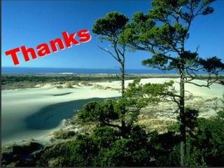 Odontogenic tumors I