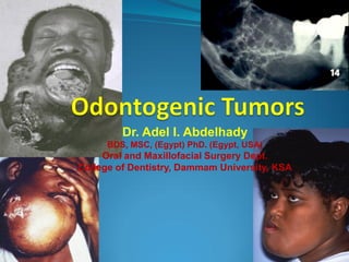 Dr. Adel I. Abdelhady
BDS, MSC, (Egypt) PhD. (Egypt, USA)

Oral and Maxillofacial Surgery Dept.
College of Dentistry, Dammam University, KSA

 