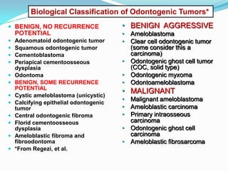 Biological Classification of Odontogenic Tumors*
 BENIGN, NO RECURRENCE

POTENTIAL















Adenomatoid odontogenic tumor
Squamous odontogenic tumor
Cementoblastoma
Periapical cementoosseous
dysplasia
Odontoma
BENIGN, SOME RECURRENCE
POTENTIAL
Cystic ameloblastoma (unicystic)
Calcifying epithelial odontogenic
tumor
Central odontogenic fibroma
Florid cementoosseous
dysplasia
Ameloblastic fibroma and
fibroodontoma
*From Regezi, et al.

• BENIGN AGGRESSIVE
• Ameloblastoma
• Clear cell odontogenic tumor
(some consider this a
carcinoma)
• Odontogenic ghost cell tumor
(COC, solid type)
• Odontogenic myxoma
• Odontoameloblastoma

• MALIGNANT
• Malignant ameloblastoma
• Ameloblastic carcinoma
• Primary intraosseous
carcinoma
• Odontogenic ghost cell
carcinoma
• Ameloblastic fibrosarcoma

 