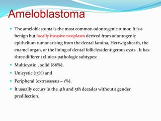 Ameloblastoma
 The ameloblastoma is the most common odontogenic tumor. It is a

benign but locally invasive neoplasm derived from odontogenic

epithelium tumor arising from the dental lamina, Hertwig sheath, the
enamel organ, or the lining of dental follicles/dentigerous cysts . It has
three different clinico-pathologic subtypes:
 Multicystic , solid (86%),
 Unicystic (13%) and
 Peripheral (extraosseus – 1%).
 It usually occurs in the 4th and 5th decades without a gender

predilection.

 
