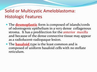 Solid or Multicystic Ameloblastoma:
Histologic Features
 The desmoplastic form is composed of islands/cords

of odontogenic epithelium in a very dense collagenous
stroma. It has a predilection for the anterior maxilla
and because of the dense connective tissue may appear
as a radiolucent-radiopaque lesion.
 The basaloid type is the least common and is
composed of uniform basaloid cells with no stellate
reticulum.

 