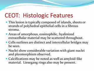 CEOT: Histologic Features
 This lesion is typically composed of islands, sheets or






strands of polyhedral epithelial cells in a fibrous
stroma.
Areas of amorphous, eosinophilic, hyalinized
extracellular material may be scattered throughout.
Cells outlines are distinct and intercellular bridges may
be seen.
Nuclei show considerable variation with giant nuclei
and pleomorphism observed.
Calcifications may be noted as well as amyloid-like
material. Liesegang rings also may be present.

 