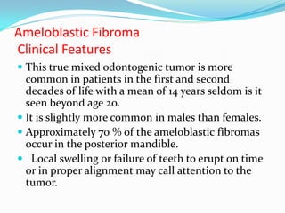 Ameloblastic Fibroma
Clinical Features
 This true mixed odontogenic tumor is more
common in patients in the first and second
decades of life with a mean of 14 years seldom is it
seen beyond age 20.
 It is slightly more common in males than females.
 Approximately 70 % of the ameloblastic fibromas
occur in the posterior mandible.
 Local swelling or failure of teeth to erupt on time

or in proper alignment may call attention to the
tumor.

 