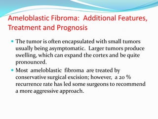 Ameloblastic Fibroma: Additional Features,
Treatment and Prognosis
 The tumor is often encapsulated with small tumors

usually being asymptomatic. Larger tumors produce
swelling, which can expand the cortex and be quite
pronounced.
 Most ameloblastic fibroma are treated by
conservative surgical excision; however, a 20 %
recurrence rate has led some surgeons to recommend
a more aggressive approach.

 