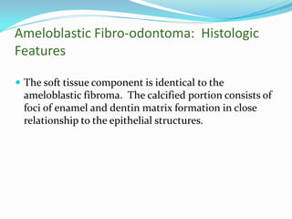 Ameloblastic Fibro-odontoma: Histologic
Features
 The soft tissue component is identical to the

ameloblastic fibroma. The calcified portion consists of
foci of enamel and dentin matrix formation in close
relationship to the epithelial structures.

 