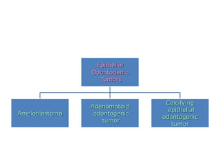 Epithelial
                Odontogenic
                  Tumors



                                Calcifying
                Adenomatoid
                                 epithelial
Ameloblastoma    odontogenic
                               odontogenic
                    tumor
                                  tumor
 