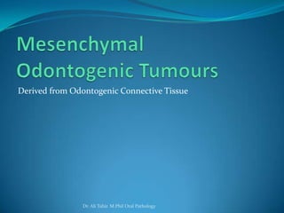 Derived from Odontogenic Connective Tissue




                Dr. Ali Tahir. M.Phil Oral Pathology
 