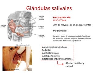 Glándulas salivales
Imagen Dr. Wilson Zelada
HIPOSALIVACIÓN
XEROSTOMÍA
30% de mayores de 65 años presentan
Multifactorial
Pacientes sanos de edad avanzada la función de
las glándulas salivales mayores no se encuentran
disminuidas de manera significativa.
Antidepresivos tricíclicos.
Sedantes
Antihistamínicos
Antihipertensivos
Citotóxicos antiparkinsonianos
Afectan cantidad y
calidad
 