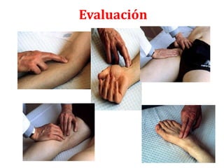 Evaluación
 