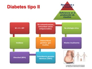 Diabetes tipo II
Resistencia a
la insulina
Deficiencia en la
producción de
insulina.
M > H > 20ª
Insidioso
Obesidad (80%)
Coincidencia gemelos
idénticos (100%)
Polimorfismo
genético -gen
insulina-
No autoanticuerpos,
Inmunidad celular
antipancreática. No etiología vírica.
Niveles insulinemia
 