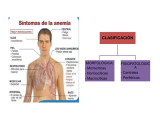 CLASIFICACIÓN
MORFOLÓGICA:
- Microcíticas
- Normocíticas
- Macrocíticas
FISIOPATOLÓGIC
A
- Centrales
- Periféricas
 