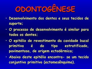 ODONTOGÊNESEODONTOGÊNESE
• Desenvolvimento dos dentes e seus tecidos deDesenvolvimento dos dentes e seus tecidos de
suporte;suporte;
• O processo de desenvolvimento é similar paraO processo de desenvolvimento é similar para
todos os dentes;todos os dentes;
• O epitélio de revestimento da cavidade bucalO epitélio de revestimento da cavidade bucal
primitiva é do tipo estratificado,primitiva é do tipo estratificado,
pavimentoso, de origem ectodérmica;pavimentoso, de origem ectodérmica;
• Abaixo deste epitélio encontra- se um tecidoAbaixo deste epitélio encontra- se um tecido
conjuntivo primitivo (ectomesênquima).conjuntivo primitivo (ectomesênquima).
 
