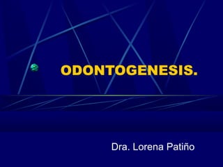 ODONTOGENESIS.
Dra. Lorena Patiño
 