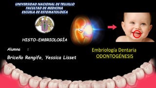 HISTO-EMBRIOLOGÍA
Alumna :
Briceño Rengifo, Yessica Lisset
Embriología Dentaria
ODONTOGÉNESIS
 