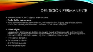 DENTICIÓN PERMANENTE
• Nomenclatura FDI o 2 dígitos, Internacional.
• En dentición permanente
• Para nombrar dientes permanentes se necesitan dos dígitos, separados por un
punto, aunque algunos autores prefieren no separar los dígitos:
• Primer dígito:
• Las arcadas dentarias se dividen en cuatro cuadrantes siguiendo la línea media
interincisal, quedando así cuatro cuadrantes (superior derecho, superior izquierdo,
inferior izquierdo e inferior derecho). Los cuadrantes citados son:
• 1= Superior derecho
• 2= Superior izquierdo
• 3= Inferior izquierdo
• 4= Inferior derecho
 