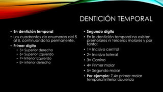 DENTICIÓN TEMPORAL
• En dentición temporal
• Los cuadrantes de enumeran del 5
al 8, continuando la permanente.
• Primer dígito
• 5= Superior derecho
• 6= Superior izquierdo
• 7= Inferior izquierdo
• 8= inferior derecho
• Segundo dígito
• En la dentición temporal no existen
premolares ni terceros molares y por
tanto:
• 1= Incisivo central
• 2= Incisivo lateral
• 3= Canino
• 4= Primer molar
• 5= Segundo molar
• Por ejemplo: 7.4= primer molar
temporal inferior izquierdo
 