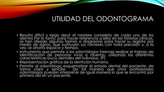 UTILIDAD DEL ODONTOGRAMA
• Resulta difícil y largo decir el nombre completo de cada uno de los
dientes Por lo tanto, para hacer referencia a ellos en las historias clínicas,
se han ideado algunas formas o diagramas para hacer su registro por
medio de signos, que sustituyen sus nombres con toda precisión y, a la
vez, se ahorra espacio y tiempo.
• Instrumento que permite a los odontólogos forenses realizar el trabajo de
identificación de personas vivas o muertas, utilizando las diferentes
características buco dentales del individuo. (P)
• Representación gráfica de la dentición humana.
• Permite al odontólogo esquematizar el estado dental del paciente, de
forma clara y sencilla. De tal manera que otros profesionales
odontólogos puedan interpretar de igual manera lo que se encontró por
primera vez en un paciente.
 