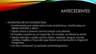 ANTECEDENTES
• Anatomía de la Cavidad Oral.
• Conformada por varias estructuras anatómicas, clasificadas en
tejidos blandos y duros.
• Tejidos duros o pasivos: son los huesos y los dientes.
• El maxilar superior es un hueso fijo. En cambio, el inferior es móvil.
• Tejidos blandos o parte activa: labios, paladar, lengua, encías,
carrillos, mejillas y músculos que tienen una inervación e irrigación
sanguínea.
• Los dos componen el aparato estomatognatico.
 