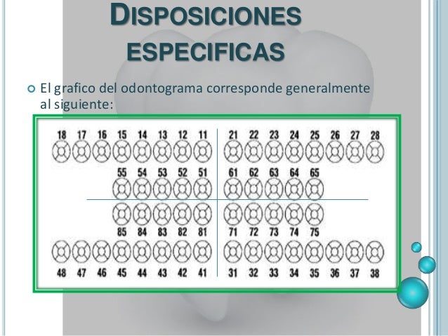 Odontograma