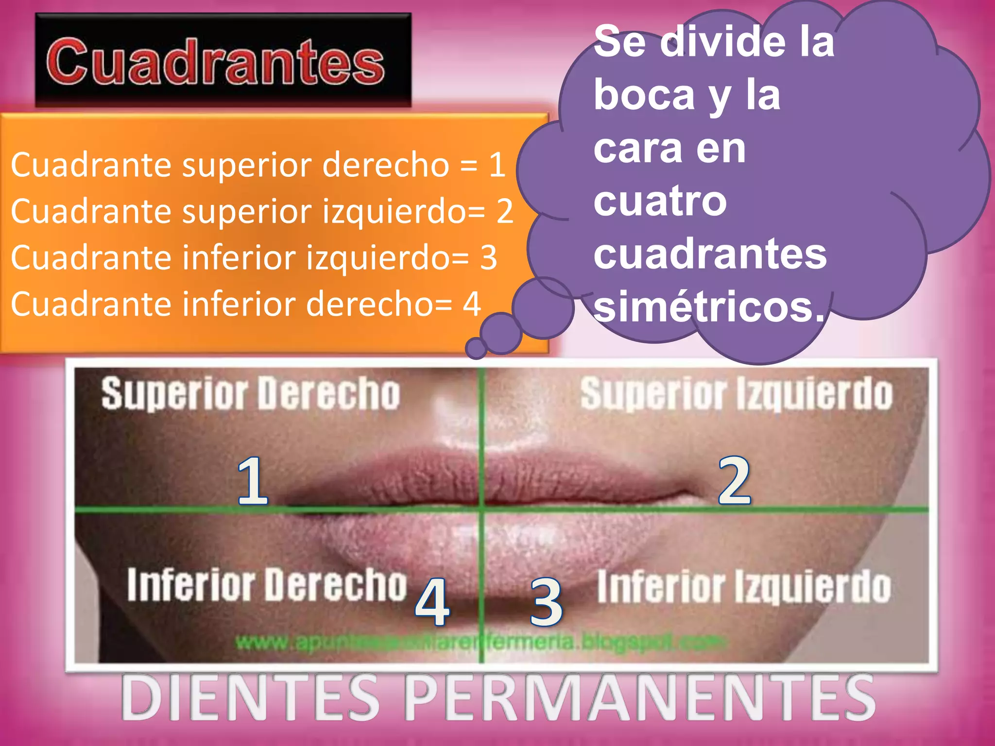 Odontograma PPTX odontograma-pptx