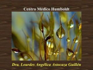 Centro Médico Humboldt
Dra. Lourdes Angélica Astocaza Guillén
 