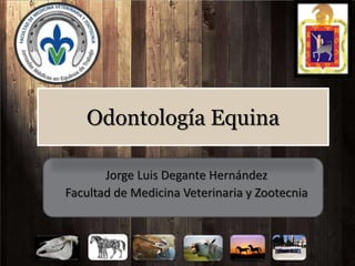 Odontología Equina
Jorge Luis Degante Hernández
Facultad de Medicina Veterinaria y Zootecnia
 