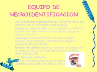EQUIPO DE NECROIDENTIFICACION Dactiloscopistas experimentados:  Preferentemente que conozcan mas de un sistema dactiloscópico. Fotógrafos especializados:  Los fotógrafos de la Policía judicial están suficientemente experimentados para realizar esta tarea. Radiólogos:  Generalmente se trata de un medico especialista en radiología, que deberá encargarse personalmente de la tarea. Personal de oficina:  Puede ser personal del juzgado, en este caso dirigido por el secretario judicial, u oficial habilitado para ello. 9-  Personal voluntario. Todo este personal debe de estar adecuadamente identificado mediante tarjetas de identidad. 