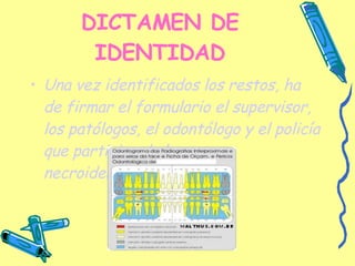 DICTAMEN DE IDENTIDAD Una vez identificados los restos, ha de firmar el formulario el supervisor, los patólogos, el odontólogo y el policía que participa de la necroidentificación. 