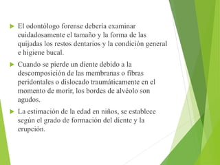  El odontólogo forense debería examinar 
cuidadosamente el tamaño y la forma de las 
quijadas los restos dentarios y la condición general 
e higiene bucal. 
 Cuando se pierde un diente debido a la 
descomposición de las membranas o fibras 
peridontales o dislocado traumáticamente en el 
momento de morir, los bordes de alvéolo son 
agudos. 
 La estimación de la edad en niños, se establece 
según el grado de formación del diente y la 
erupción. 
 