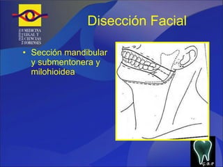 Disección Facial Sección mandibular y submentonera y milohioidea G.B.P 