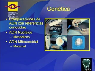 Genética Comparaciones de ADN con referencias conocidas ADN Nucleico Mendeliano ADN Mitocondrial Maternal  G.B.P 