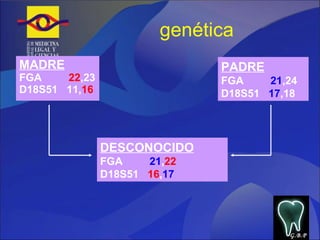 genética MADRE FGA  22 ,23 D18S51  11, 16 PADRE FGA  21 ,24 D18S51  17 ,18 DESCONOCIDO FGA  21 , 22 D18S51  16 , 17 G.B.P 