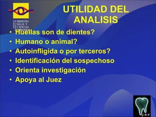 UTILIDAD DEL ANALISIS Huellas son de dientes? Humano o animal? Autoinfligida o por terceros? Identificación del sospechoso Orienta investigación Apoya al Juez G.B.P 