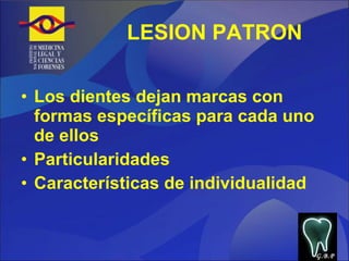 LESION PATRON Los dientes dejan marcas con formas específicas para cada uno de ellos Particularidades Características de individualidad G.B.P 