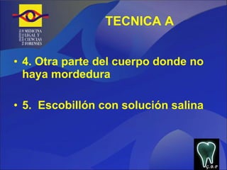 TECNICA A 4. Otra parte del cuerpo donde no haya mordedura 5.  Escobillón con solución salina G.B.P 