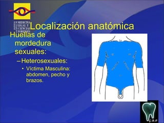 Localización anatómica Huellas de mordedura sexuales: Heterosexuales:  Víctima Masculina: abdomen, pecho y brazos.  G.B.P 