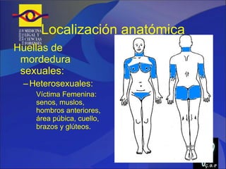 Localización anatómica Huellas de mordedura sexuales: Heterosexuales: Víctima Femenina: senos, muslos, hombros anteriores, área púbica, cuello, brazos y glúteos. G.B.P 