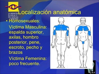 Localización anatómica Homosexuales: Víctima Masculina: espalda superior, axilas, hombro posterior, pene, escroto, pecho y brazos Víctima Femenina: poco frecuente. G.B.P 
