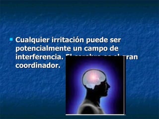 Cualquier irritación puede ser potencialmente un campo de interferencia. El cerebro es el gran coordinador.   