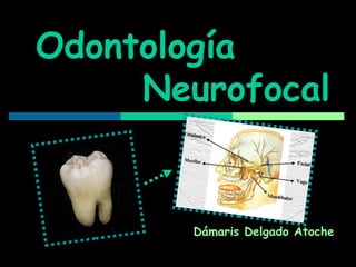 Odontología  Neurofocal Dámaris Delgado Atoche 