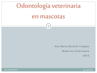 Ana María Bucheli Campos
Medicina Veterinaria
2015
Odontologíaveterinaria
en mascotas
19/03/2015
1
Ana Maria Bucheli
 
