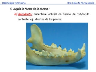 Odontología veterinaria                                Dra. Emérita Abreu García

       4. Según la forma de la corona :
            d) Secodonto: superficie oclusal en forma de tubérculo
               cortante; ej.: dientes de los perros.




                                                 d
                                   d
 